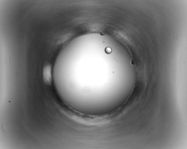 X0000087060028200704181308