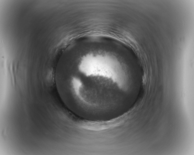 X0000087060029200704181308