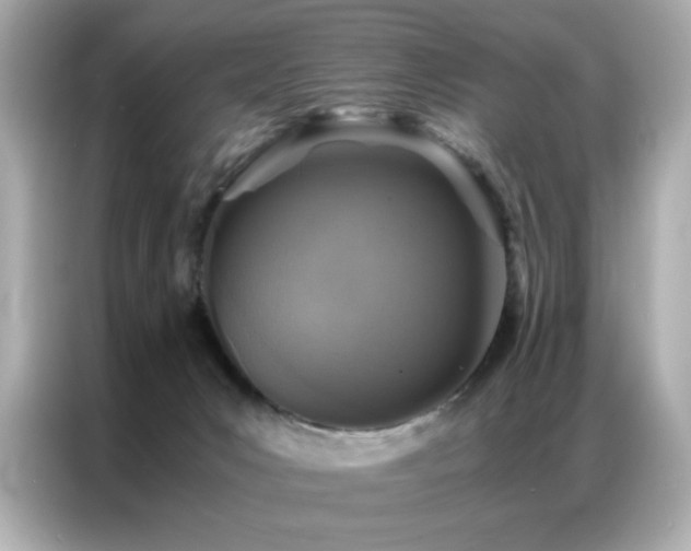 X0000087060031200704181308