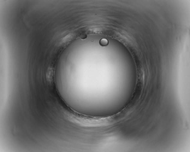 X0000087060036200704181307