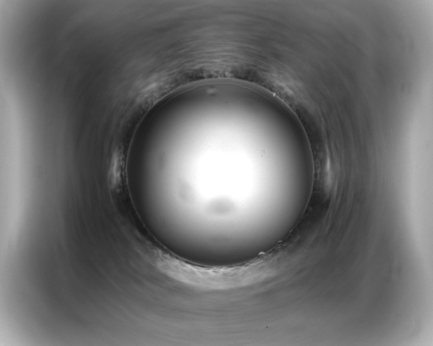 X0000087060038200704181307