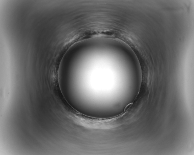 X0000087060040200704181307