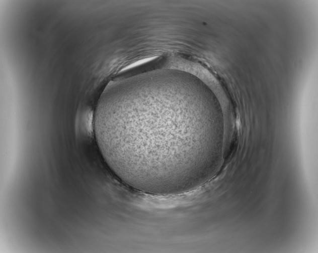 X0000087060041200704181307