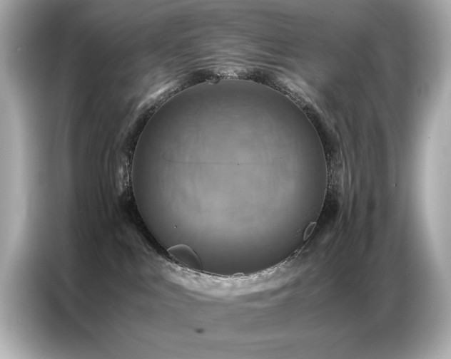 X0000087060043200704181307