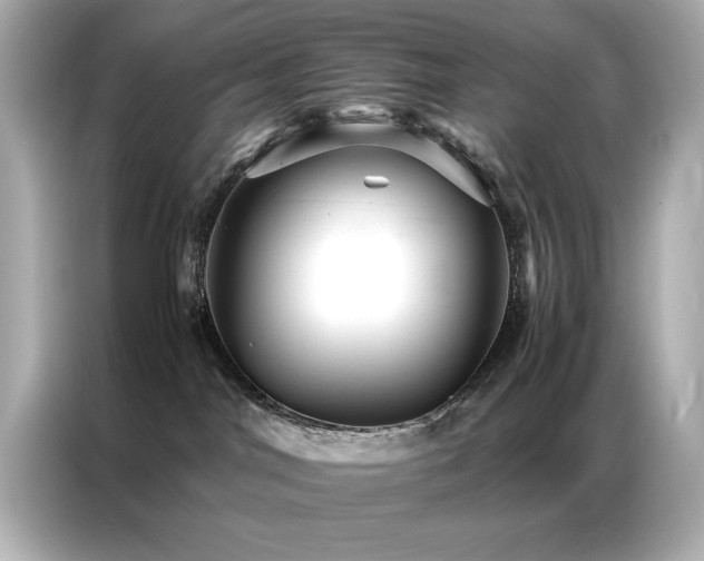 X0000087060044200704181307