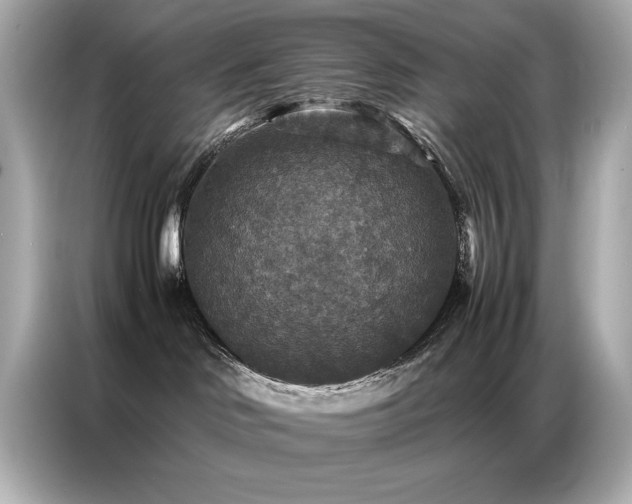 X0000087060046200704181307