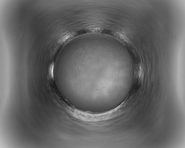 X0000087060047200704181307