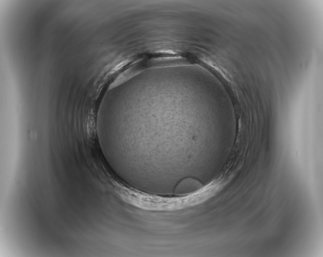 X0000087060048200704181307