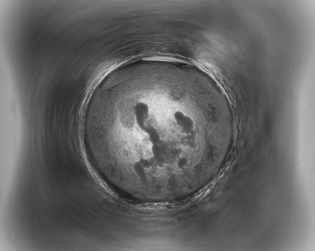 X0000087060049200704181307