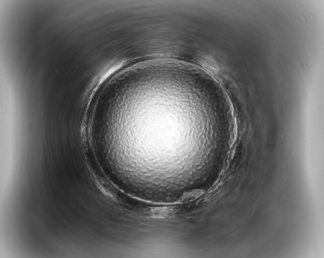 X0000087060050200704181307