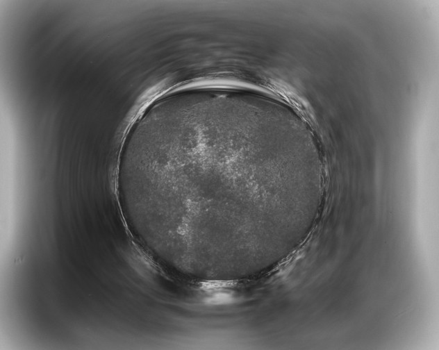 X0000087060051200704181307