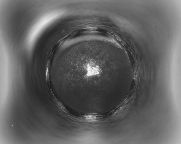 X0000087060052200704181307