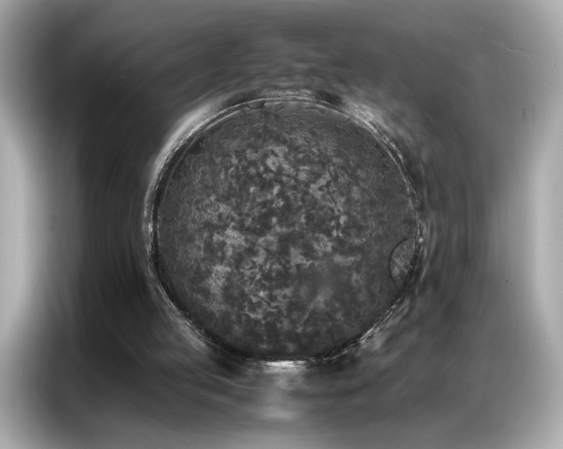 X0000087060053200704181307