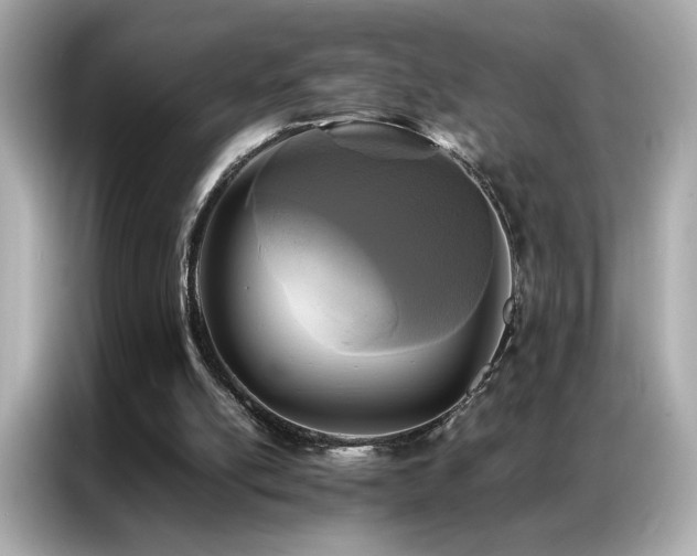 X0000087060054200704181307