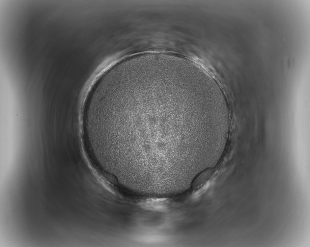 X0000087060055200704181307