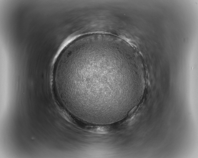 X0000087060056200704181307