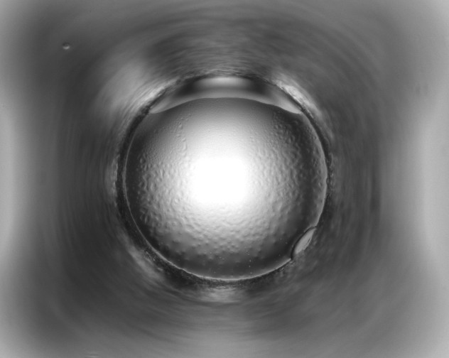 X0000087060058200704181307