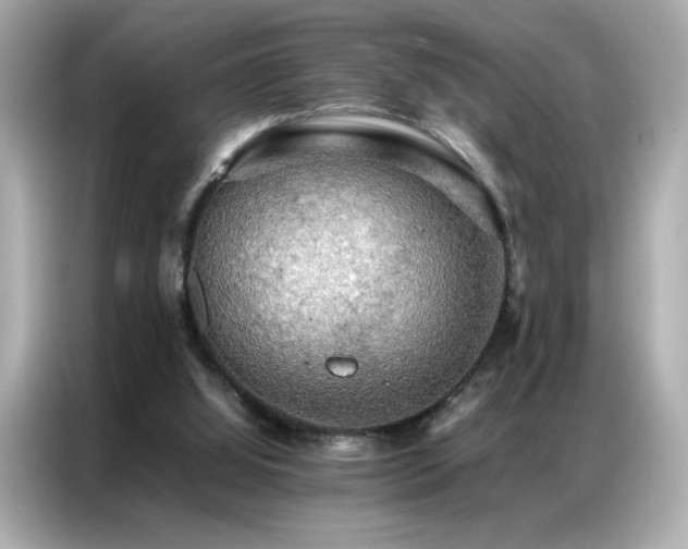 X0000087060060200704181307