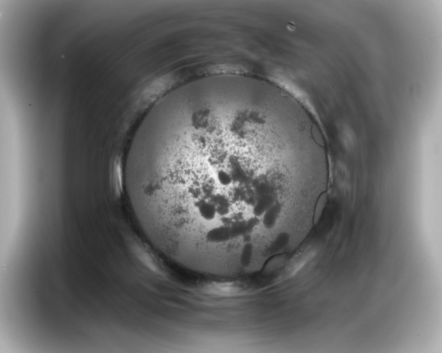 X0000087060061200704181307