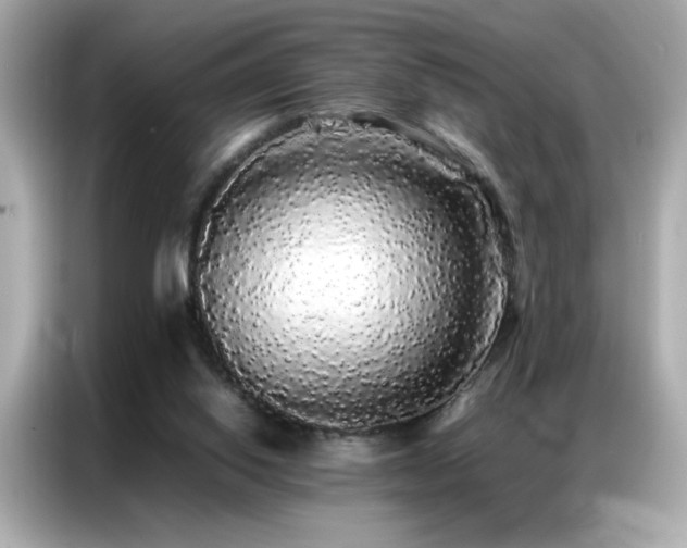 X0000087060062200704181307