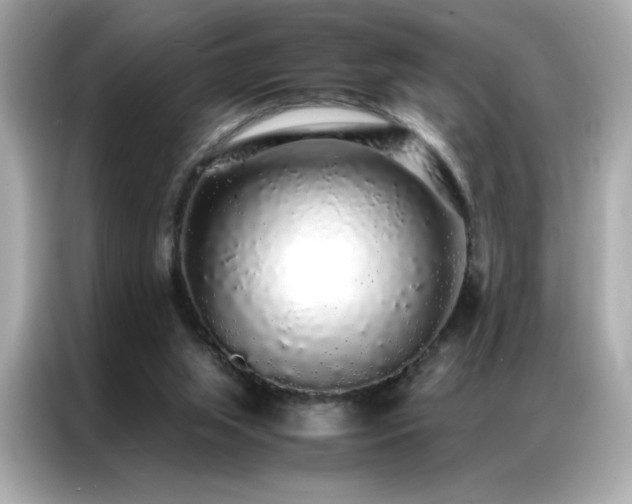 X0000087060063200704181307