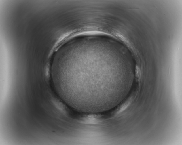 X0000087060064200704181307