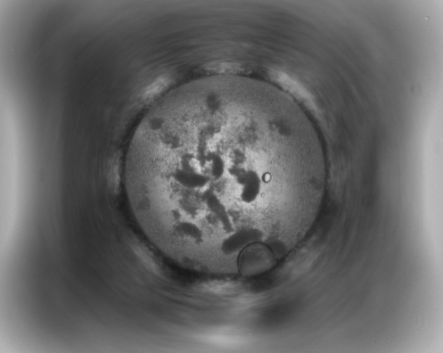 X0000087060065200704181307