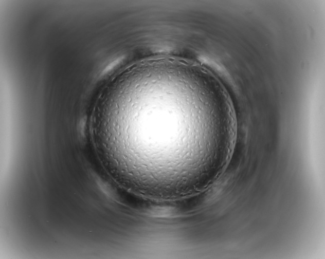 X0000087060066200704181307