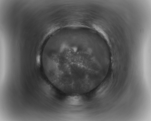 X0000087060067200704181307