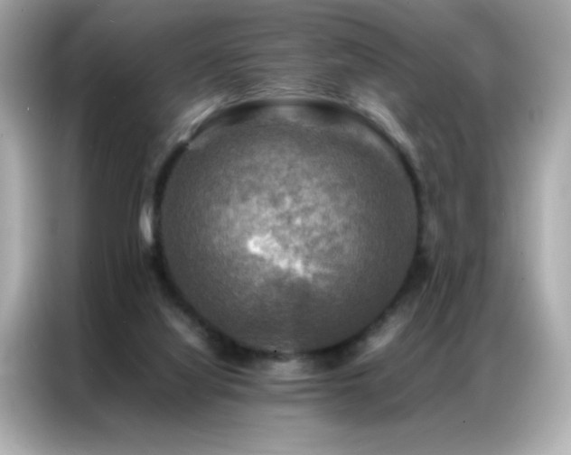 X0000087060068200704181307