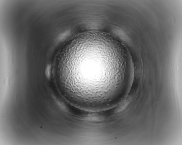 X0000087060070200704181307