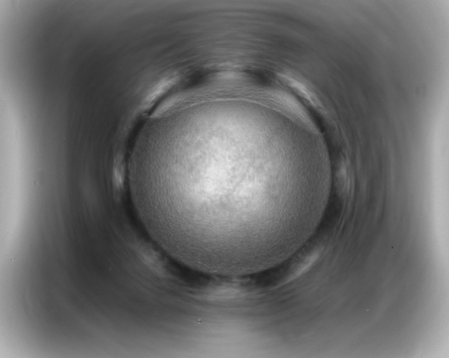 X0000087060072200704181307