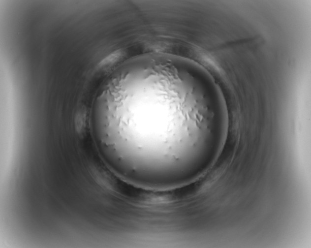 X0000087060073200704181307