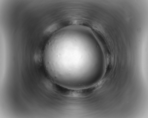 X0000087060078200704181307