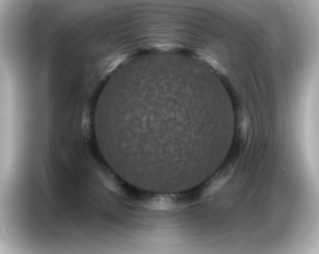 X0000087060080200704181307