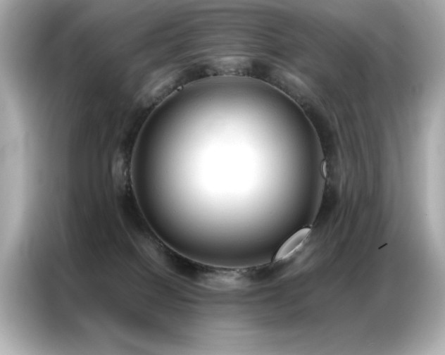 X0000087060086200704181307