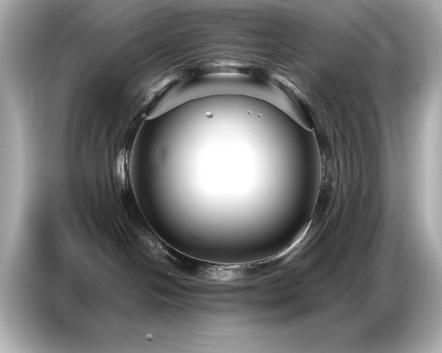 X0000087060094200704181307