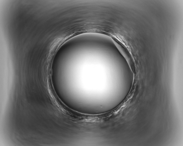 X0000087060097200704181307