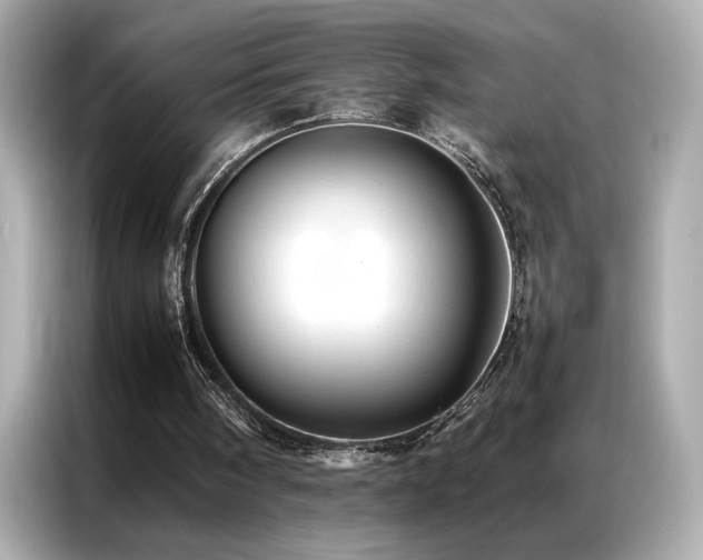 X0000087060098200704181307