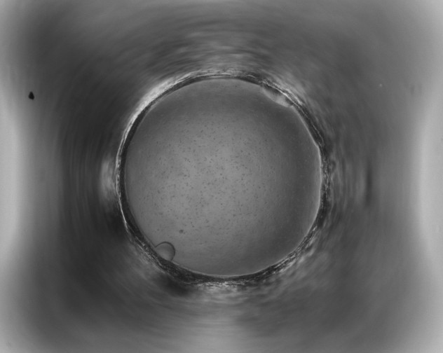 X0000087060100200704181307