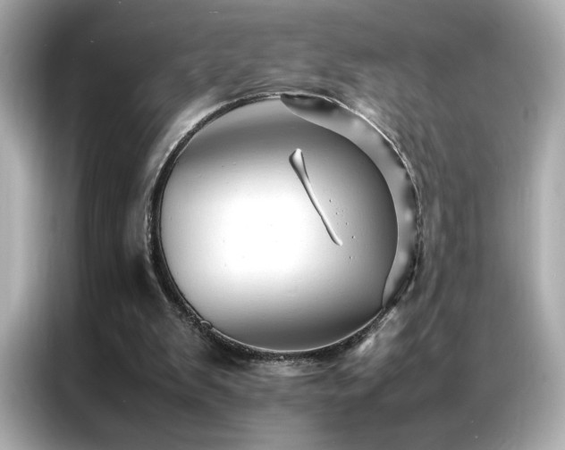 X0000087060103200704181307