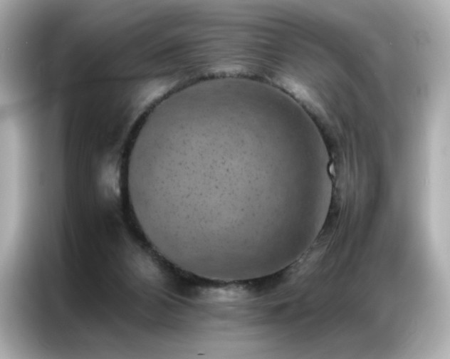 X0000087060112200704181306