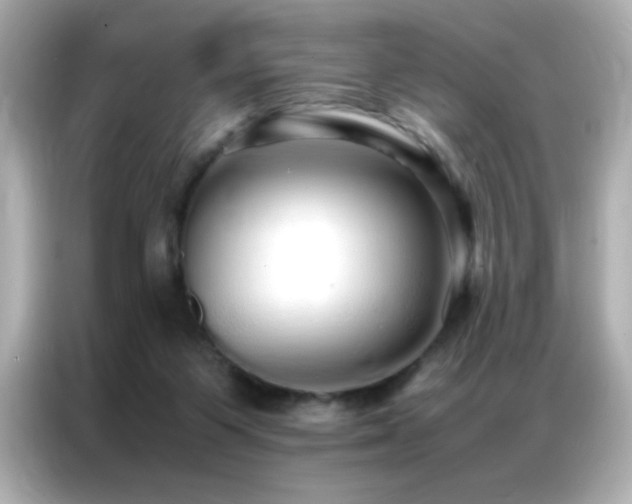 X0000087060119200704181306