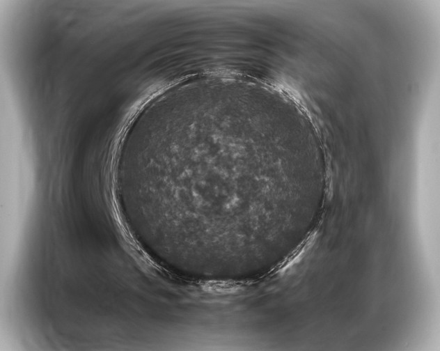 X0000087060145200704181305