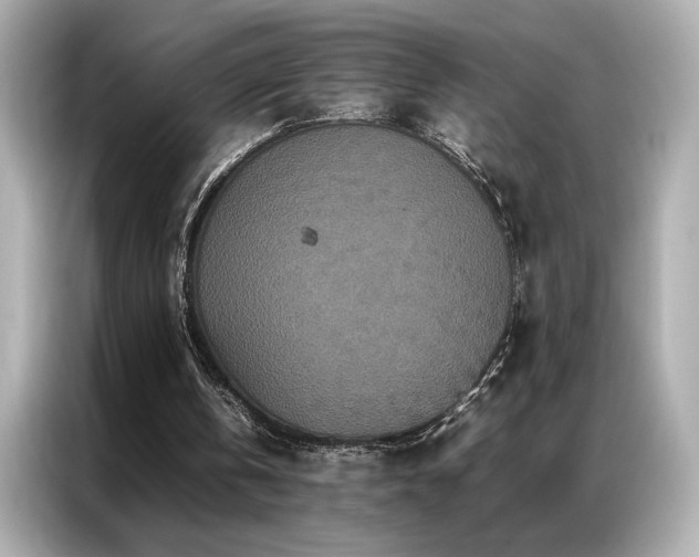 X0000087060146200704181305