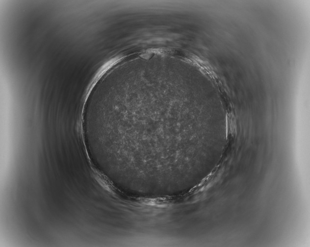 X0000087060147200704181305