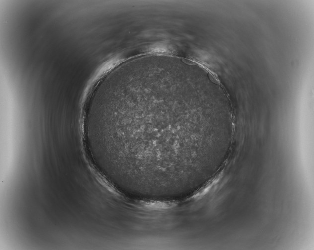 X0000087060149200704181305