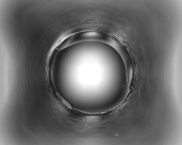 X0000087060150200704181305