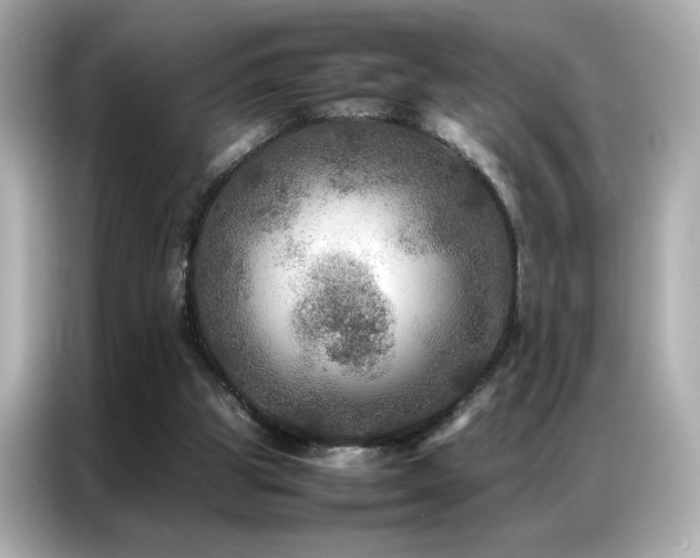 X0000087060153200704181305