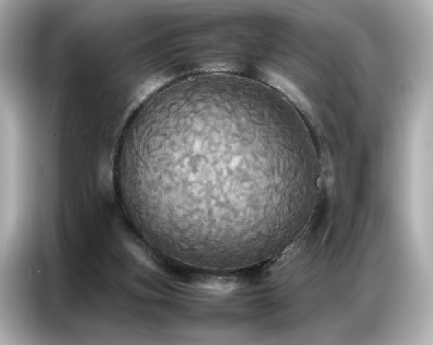 X0000087060155200704181305